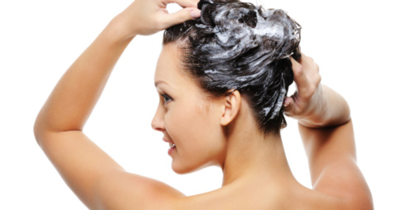 Šampon, Kosa Šampon, Kosa