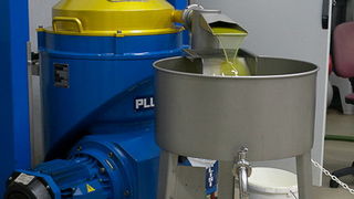 Put masline od stabla do djevicanskog ulja, Foto: Leo Banic Put masline od stabla do djevicanskog ulja, Foto: Leo Banic