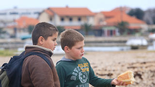 Labudovi u Bibinjama 10. siječnja 2013, Foto: Leo Banić