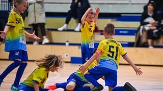 1.Cateleya indoor Cup 1.Cateleya indoor Cup