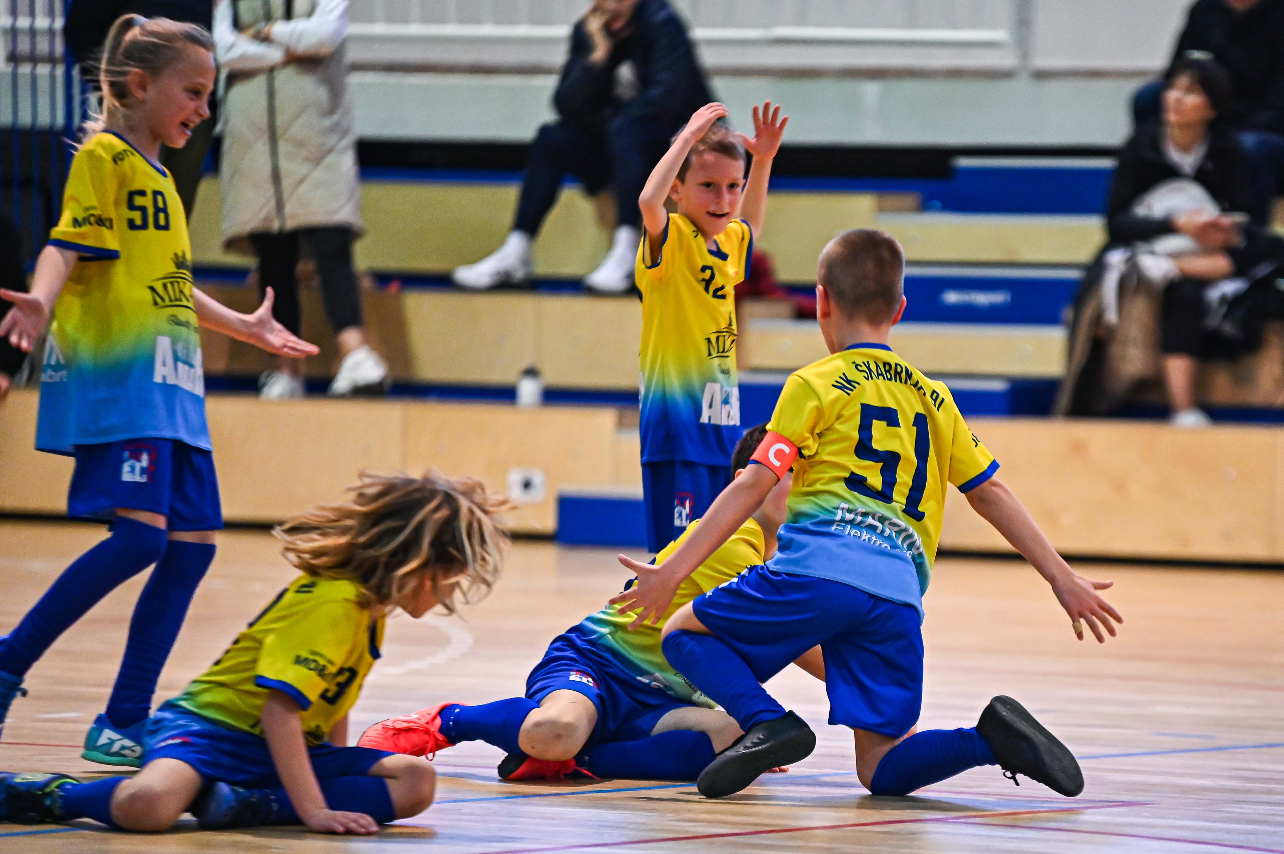 1.Cateleya indoor Cup 1.Cateleya indoor Cup