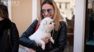 Đir po gradu, četvrtak 14. veljače 2019.