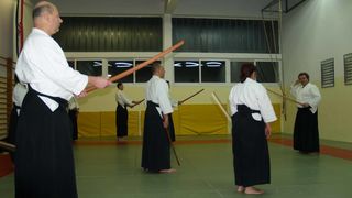 Aikido, seminar Alesa Leskovseka u AK Donat