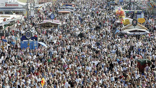 Image 1185703 (auto) Image 1185703 (auto)