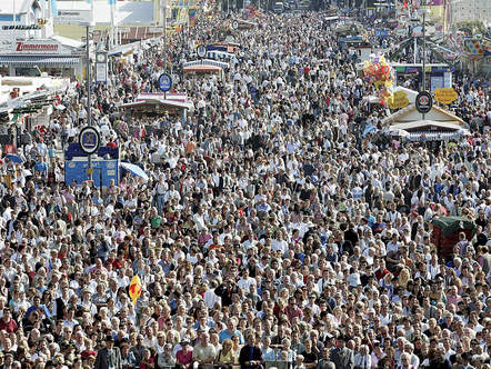 Image 1185703 (auto) Image 1185703 (auto)