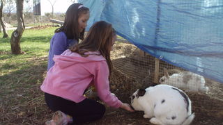 OLYMPUS DIGITAL CAMERA OLYMPUS DIGITAL CAMERA