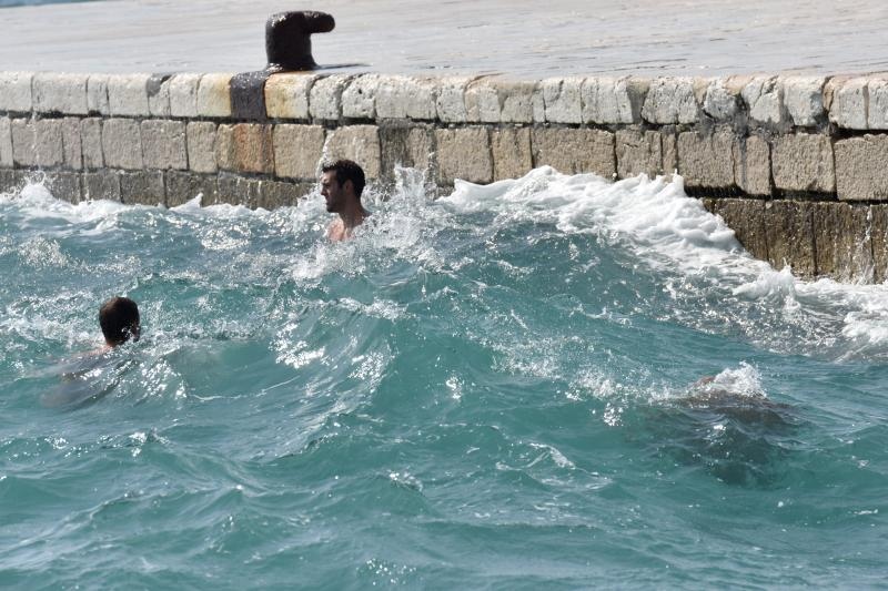 Guštanje u jugu na zadarskoj rivi 15. rujna 2015. Foto: Dino Stanin/PIXSELL