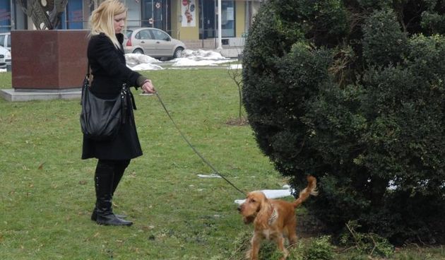 Bandić najavio kazne za vlasnike pasa koji ne pokupe za psima