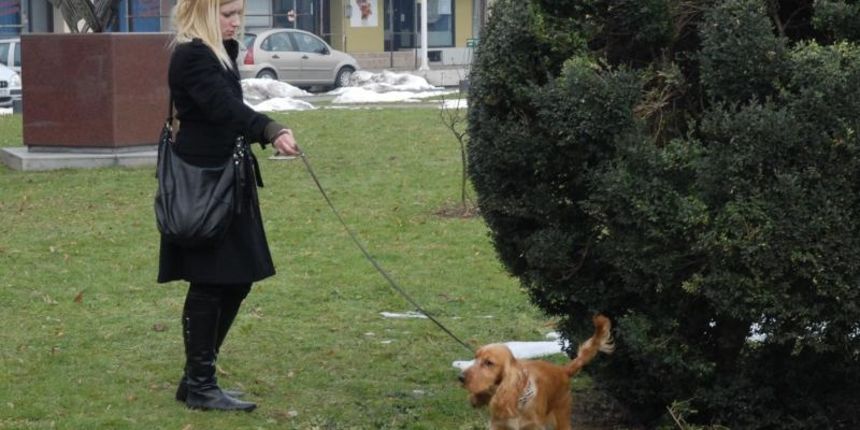 Bandić najavio kazne za vlasnike pasa koji ne pokupe za psima Bandić najavio kazne za vlasnike pasa koji ne pokupe za psima