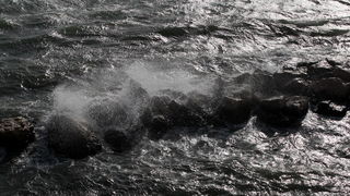 Zadar, 111112.
Jako jugo od ranih jutarnjih sati puse na zadarskom podrucju, temperatura zraka je ugodnih 20 stupnjeva. Detalj sa zadarske rive.
Foto: Jure Miskovic / CROPIX Zadar, 111112.
Jako jugo od ranih jutarnjih sati puse na zadarskom podrucju, temperatura zraka je ugodnih 20 stupnjeva. Detalj sa zadarske rive.
Foto: Jure Miskovic / CROPIX