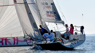 Sva lica “Zadarske koke” Sva lica “Zadarske koke”