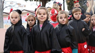 Virski karnevalić 2016. Virski karnevalić 2016.