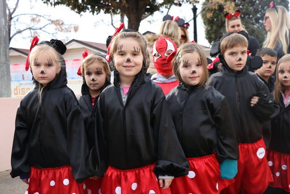 Virski karnevalić 2016. Virski karnevalić 2016.
