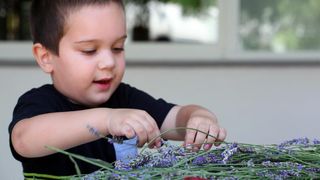 03.07.2013., Zadar – Na djecjem odjelu u dvoristu Gradske knjiznice Zadar djeca izradjuju strucke i jastucice od lavande. Radionicu vodi gospodja Jadranka Plantak. Photo: Zeljko Mrsic/PIXSELL 03.07.2013., Zadar – Na djecjem odjelu u dvoristu Gradske knjiznice Zadar djeca izradjuju strucke i jastucice od lavande. Radionicu vodi gospodja Jadranka Plantak. Photo: Zeljko Mrsic/PIXSELL