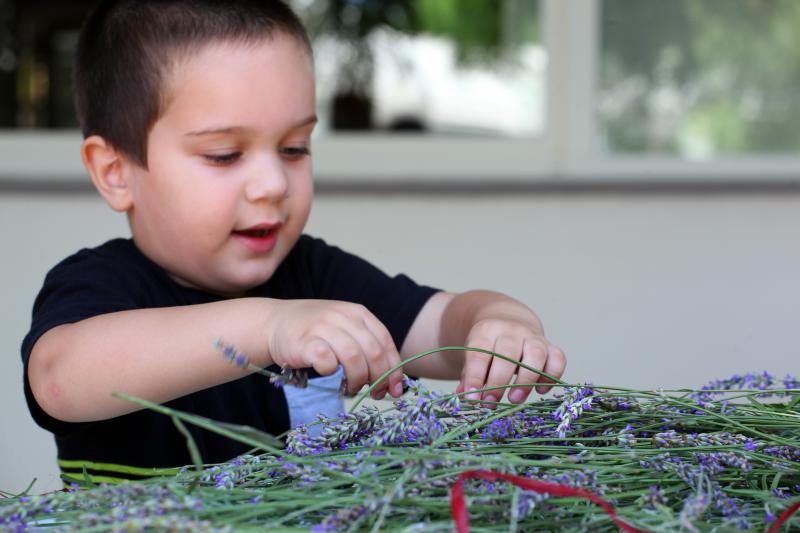 03.07.2013., Zadar – Na djecjem odjelu u dvoristu Gradske knjiznice Zadar djeca izradjuju strucke i jastucice od lavande. Radionicu vodi gospodja Jadranka Plantak. Photo: Zeljko Mrsic/PIXSELL 03.07.2013., Zadar – Na djecjem odjelu u dvoristu Gradske knjiznice Zadar djeca izradjuju strucke i jastucice od lavande. Radionicu vodi gospodja Jadranka Plantak. Photo: Zeljko Mrsic/PIXSELL