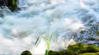 Đir do NP Krka. foto-Iva Perincic