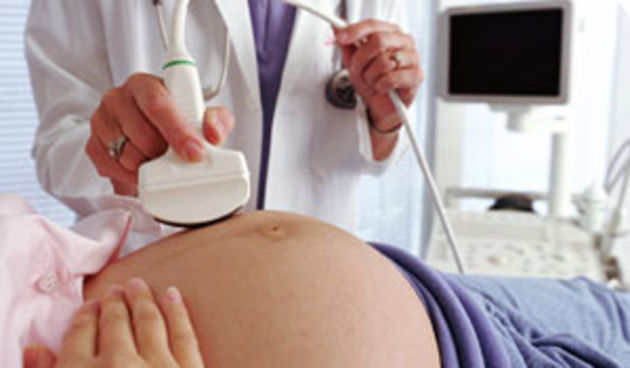 Trudnica – trudnoća