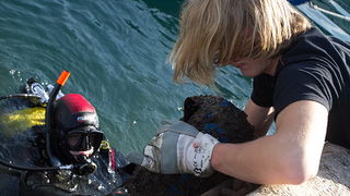 Ronilacki klub Sv. Roko – čišćenje, uvala Jazine, foto: Leo Banić