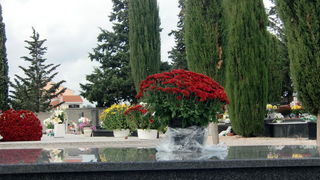 Usprkos jakom jugu, gradsko groblje Belafuza danas je zasjalo toplim bojama cvijeca i svijeca kojima su gradjani ukrasili posljednja pocivalista svojih najdrazih, Foto: Mladen Malik Usprkos jakom jugu, gradsko groblje Belafuza danas je zasjalo toplim bojama cvijeca i svijeca kojima su gradjani ukrasili posljednja pocivalista svojih najdrazih, Foto: Mladen Malik