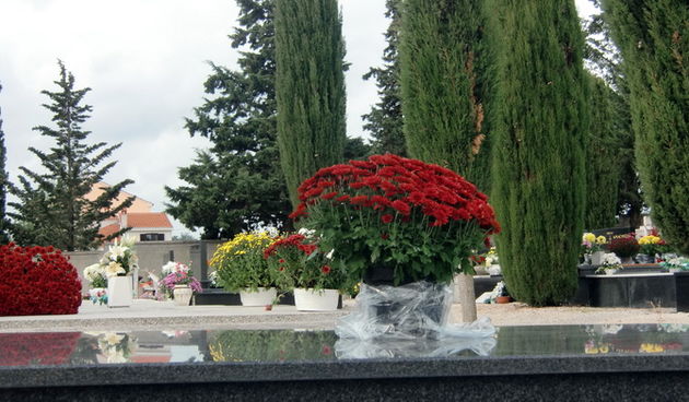 Usprkos jakom jugu, gradsko groblje Belafuza danas je zasjalo toplim bojama cvijeca i svijeca kojima su gradjani ukrasili posljednja pocivalista svojih najdrazih, Foto: Mladen Malik