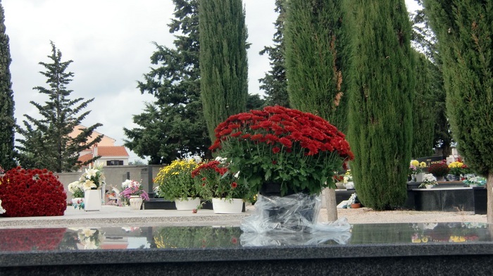 Usprkos jakom jugu, gradsko groblje Belafuza danas je zasjalo toplim bojama cvijeca i svijeca kojima su gradjani ukrasili posljednja pocivalista svojih najdrazih, Foto: Mladen Malik Usprkos jakom jugu, gradsko groblje Belafuza danas je zasjalo toplim bojama cvijeca i svijeca kojima su gradjani ukrasili posljednja pocivalista svojih najdrazih, Foto: Mladen Malik