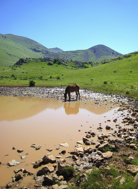 Velebit: Konji u Libinju