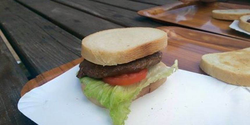 ”hamburger” sendvic plitvice ”hamburger” sendvic plitvice