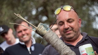 U Vrtovima lunjskih maslina održana 12. Lunjska maslinada. Foto: Vinko Pešić