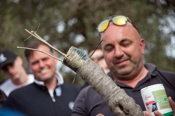 U Vrtovima lunjskih maslina održana 12. Lunjska maslinada. Foto: Vinko Pešić