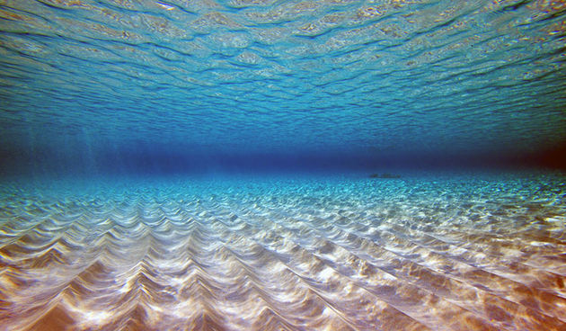 Izložba otok i more