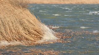 Zaledilo Vransko jezero u lučici na Prosici
