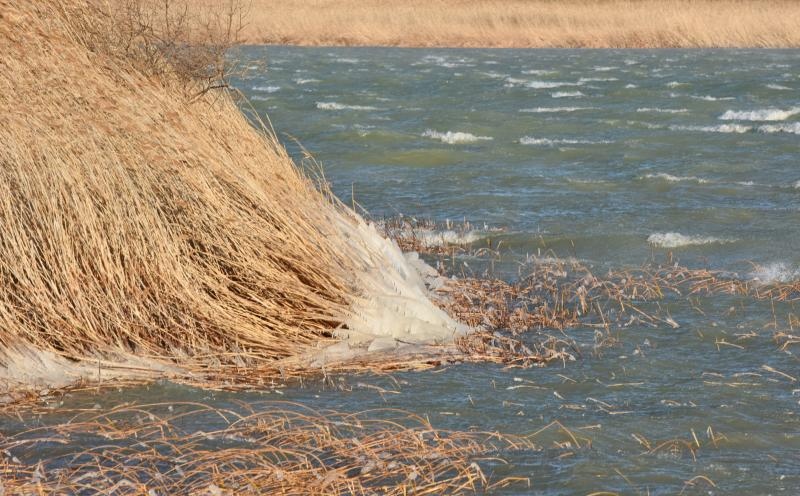Zaledilo Vransko jezero u lučici na Prosici