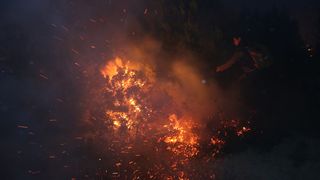 Požar u Tučepima Požar u Tučepima