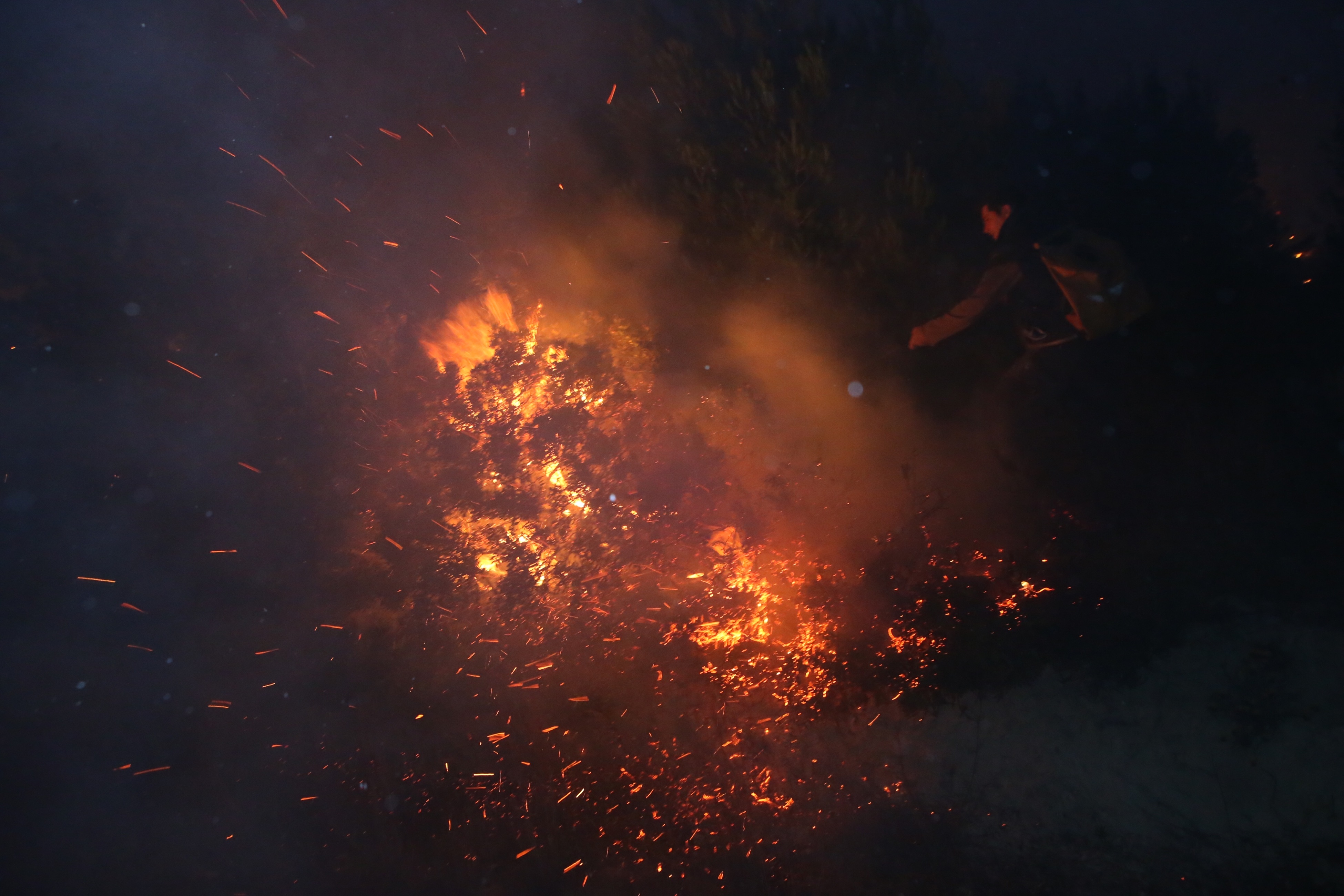 Požar u Tučepima Požar u Tučepima