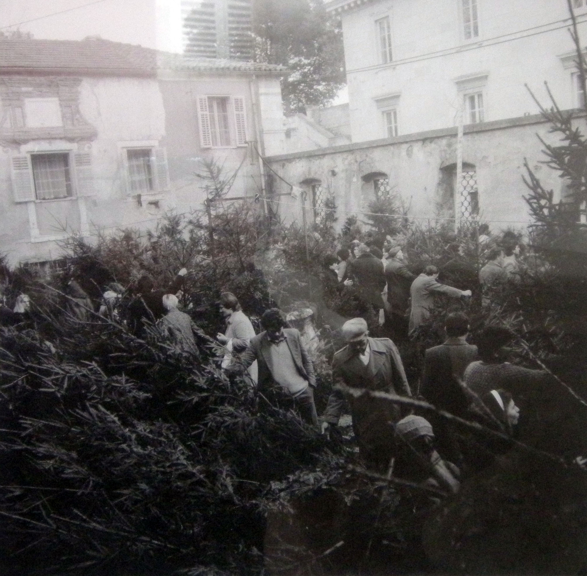 Izložba fotografija Ante Brkana ‘Na tržnici’
