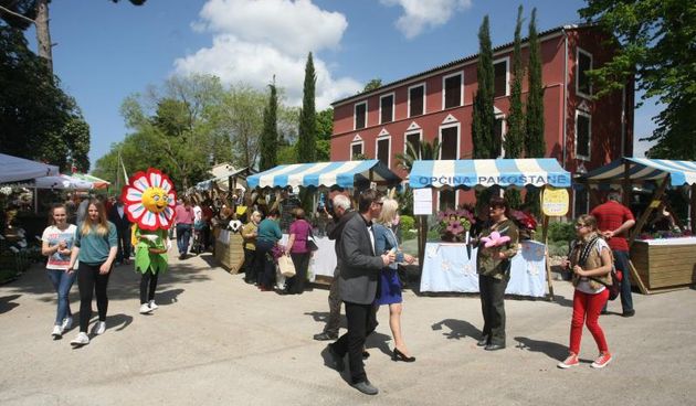 U Sv. Filip i Jakovu danas je otvoren 14. Festival cvijeća Zadarske županije, Foto: Dino Stanin/PIXSELL