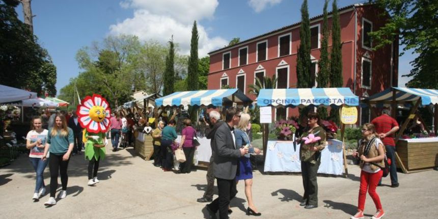 U Sv. Filip i Jakovu danas je otvoren 14. Festival cvijeća Zadarske županije, Foto: Dino Stanin/PIXSELL