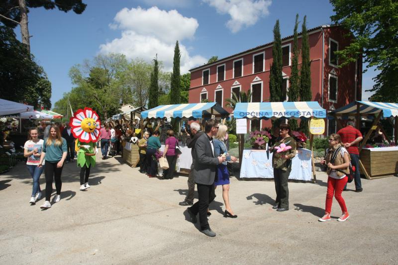 U Sv. Filip i Jakovu danas je otvoren 14. Festival cvijeća Zadarske županije, Foto: Dino Stanin/PIXSELL