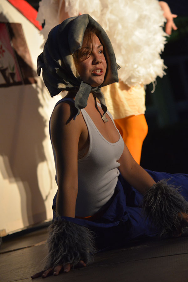 Ružno pače u izvedbi Dragon Teatra Ružno pače u izvedbi Dragon Teatra