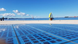 Zadarska Koka 2016. 22. listopada 2016. Foto: Mladen Malik Zadarska Koka 2016. 22. listopada 2016. Foto: Mladen Malik