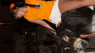 Image 1088965 (auto)