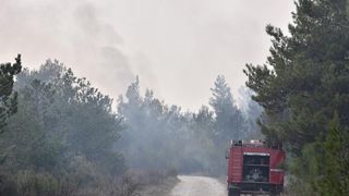 Veliki požar kod Ražanca uz vatrogasce gasili kanader i air tractor