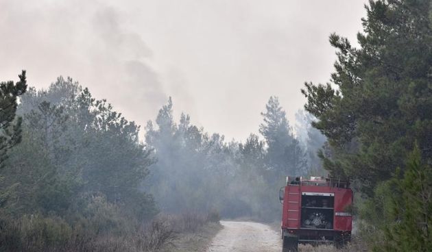 Veliki požar kod Ražanca uz vatrogasce gasili kanader i air tractor