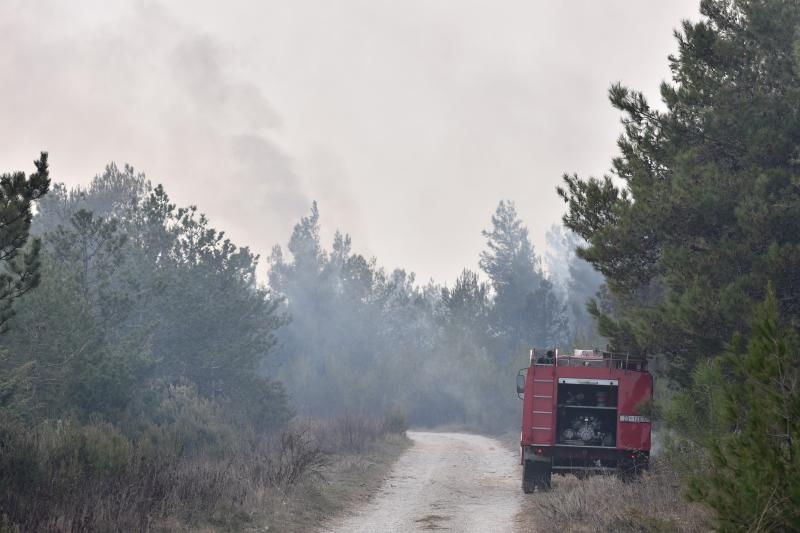 Veliki požar kod Ražanca uz vatrogasce gasili kanader i air tractor