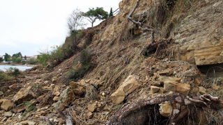 Zadar, 020912.
Nakon jucerasnjeg kisnog dana i danas se zbrajaju stete. Na arbanaskom setalistu Karma doslo je i do nekoliko odrona, a na jednom djelu ugrozena je setnica i sigurnost setaca.
Na fotografiji: prizor na mjestu odrona.
Foto: Jure Miskovic / C Zadar, 020912.
Nakon jucerasnjeg kisnog dana i danas se zbrajaju stete. Na arbanaskom setalistu Karma doslo je i do nekoliko odrona, a na jednom djelu ugrozena je setnica i sigurnost setaca.
Na fotografiji: prizor na mjestu odrona.
Foto: Jure Miskovic / C