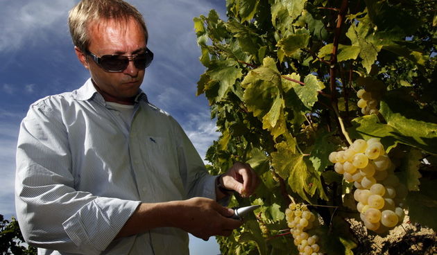 Grimalda, Pagubice, 150910.
Ivica Matosevic, jedan od najcjenjenijih hrvatskih vinara vinom se poceo baviti sredinom 90-ih iz hobija i ljubavi, bez ikakve obiteljske tradicije, no u relativno kratkom roku postigao je jako puno otvorivsi i vrlo atraktivnu