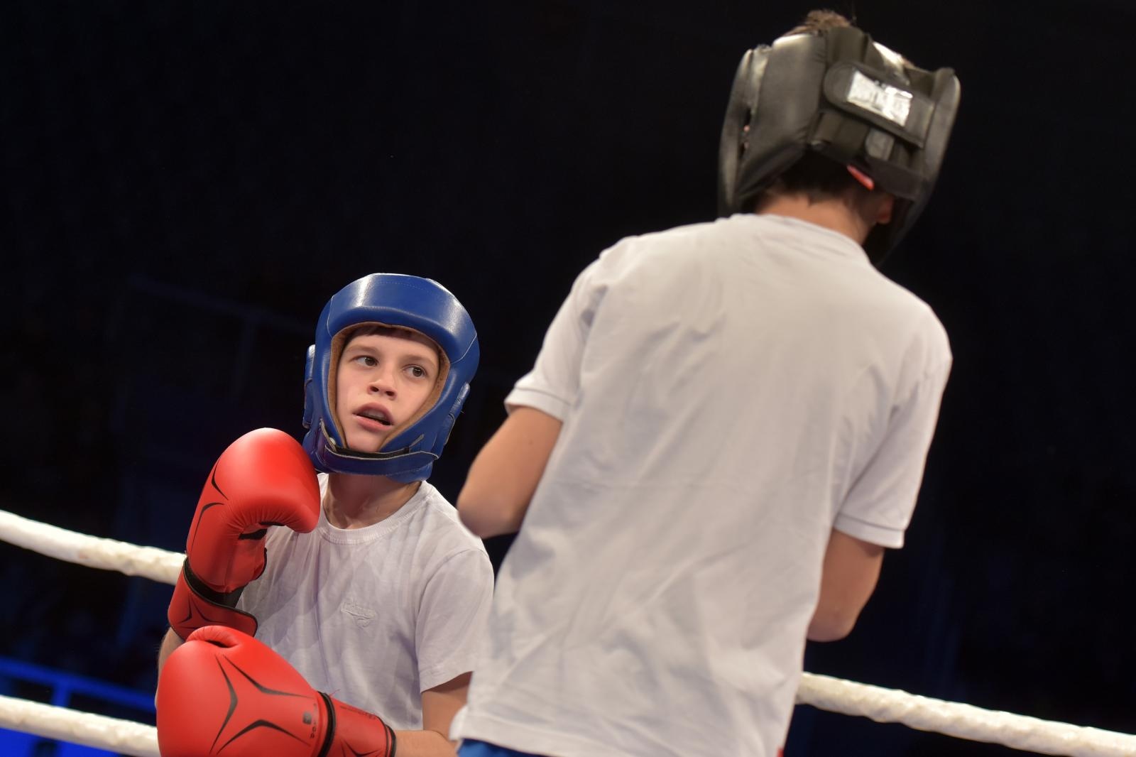 Svjetska boksacka liga, grupa B C1: Croatian Knights – France Fighting Roosters