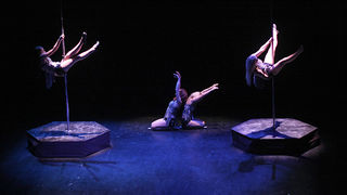 Image 1032897 (auto)