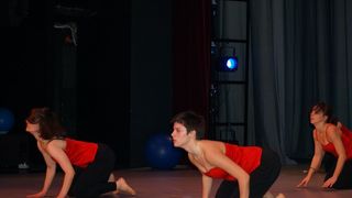 Plesno kazalisna udruga Zalet