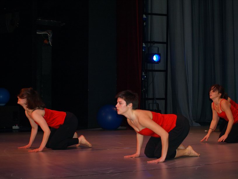 Plesno kazalisna udruga Zalet